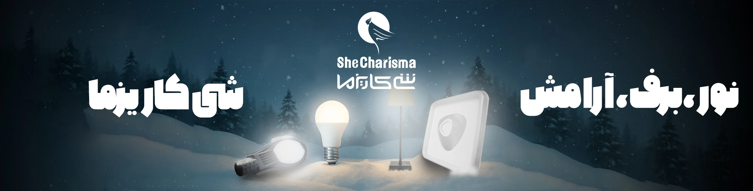 فروشگاه اینترنتی شی کاریزما
