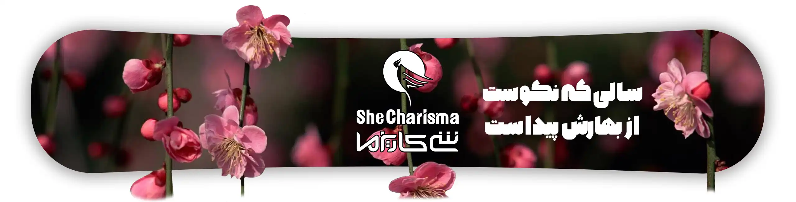 فروشگاه اینترنتی شی کاریزما